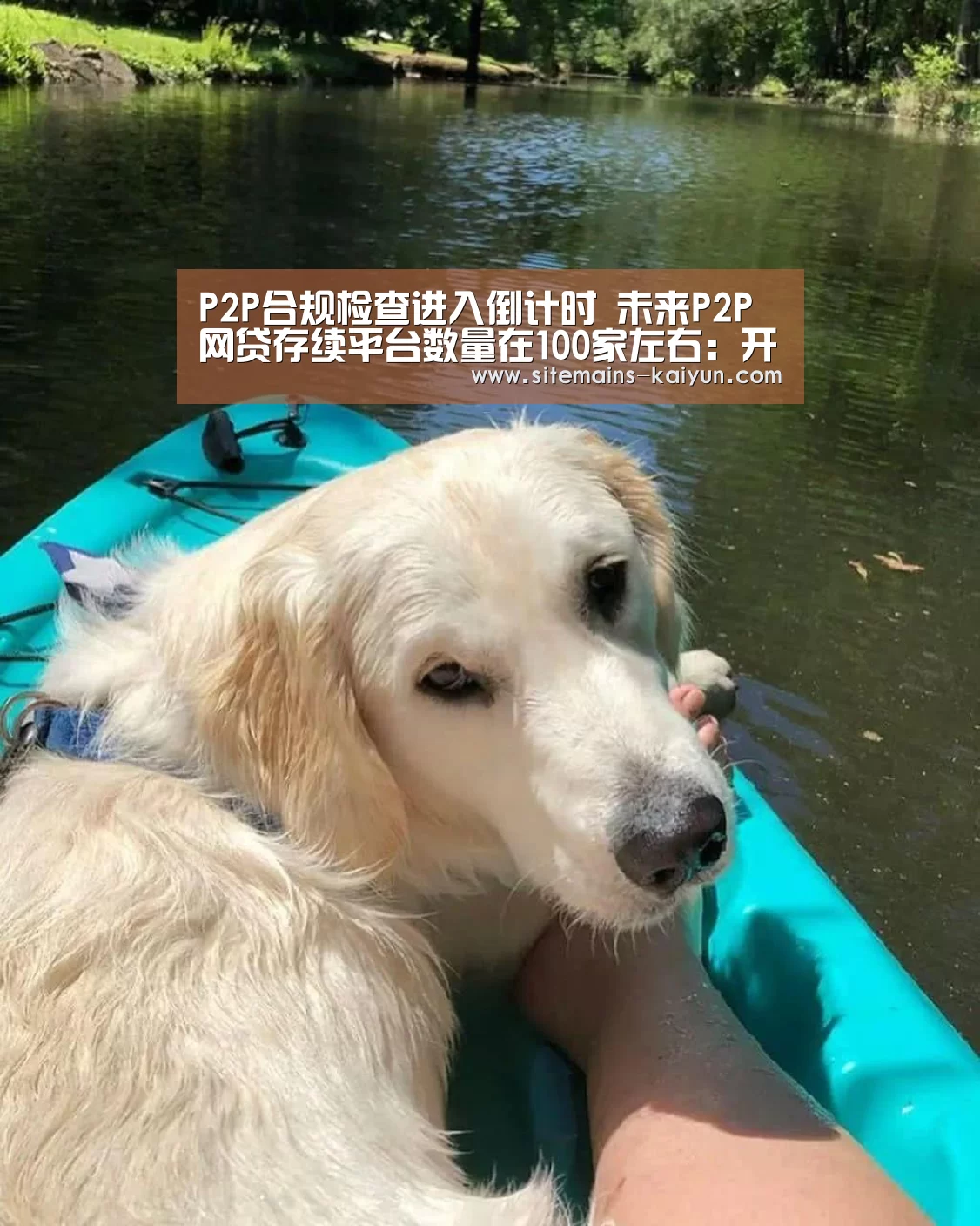 开云